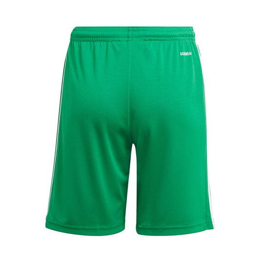 adidas Squadra 21 Shorts - Youth - Green/White