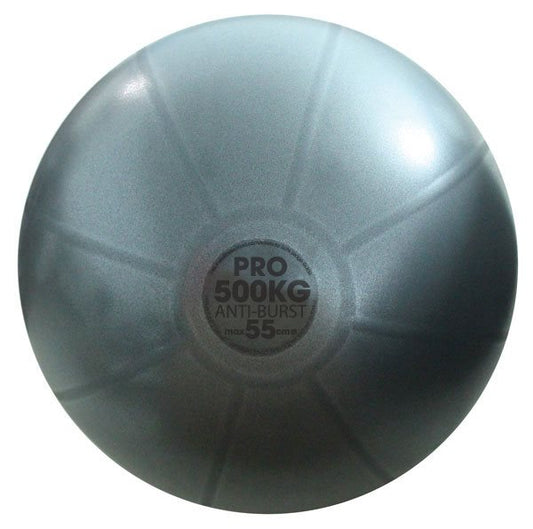 Fitness Mad 500Kg Studio Pro Swiss Ball