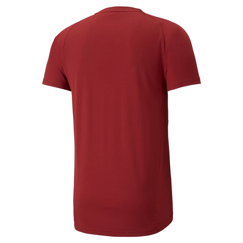 Puma Evostripe Tee - Mens - Intense Red