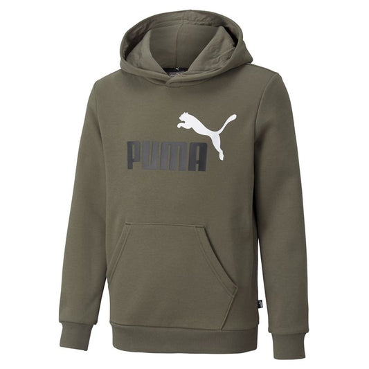 Puma Essentials 2 Col Big Logo Fleece Hoodie - Boys - Grape Leaf