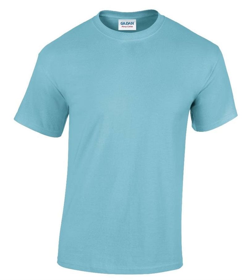 Gildan Plain Tee - Youth - Pale Blue