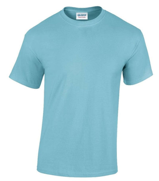 Gildan Plain Tee - Youth - Pale Blue