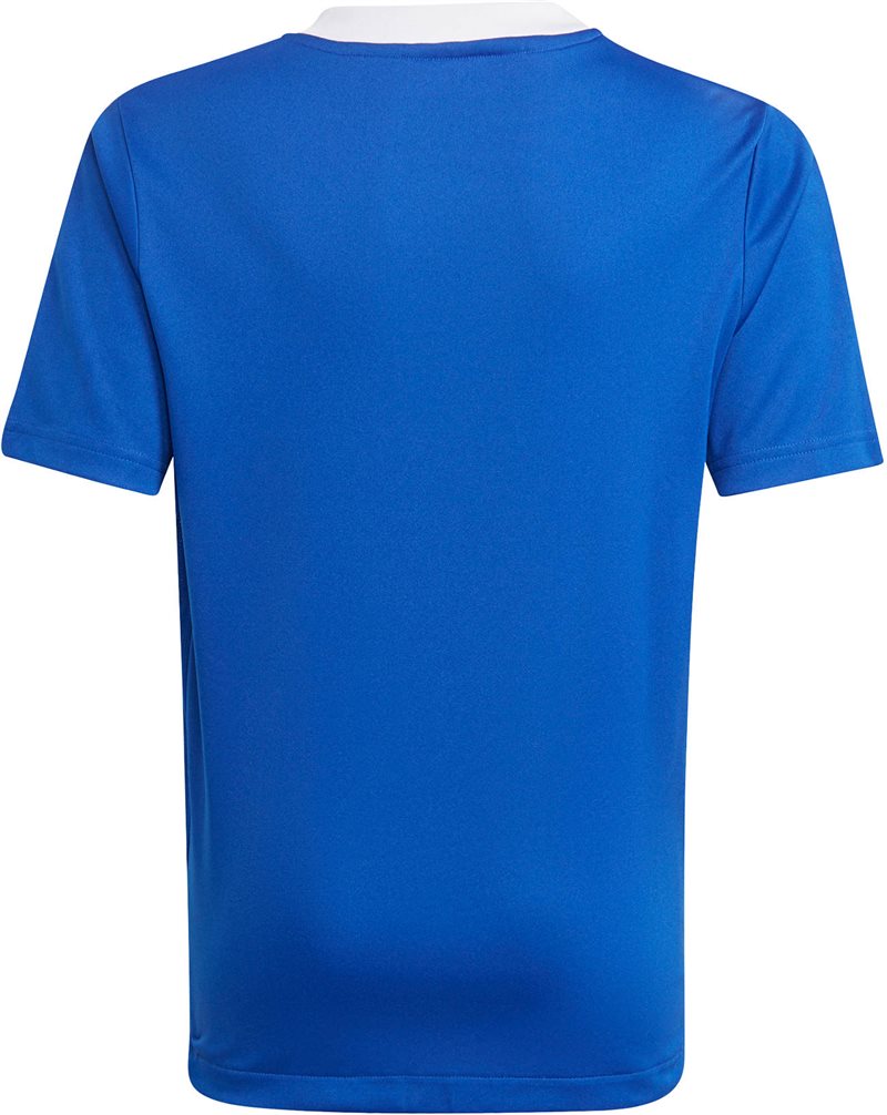 adidas Tiro 21 Training Jersey - Youth - Royal Blue/White