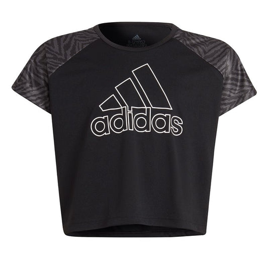 adidas Designed 2 Move Seasonal Tee - Girls - Black/Grey/Black