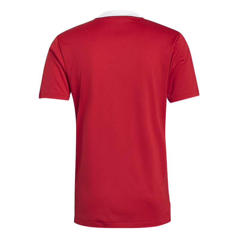 adidas Tiro 21 Training Jersey - Adult - Red