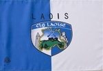 The GAA Store Laois County GAA Flags