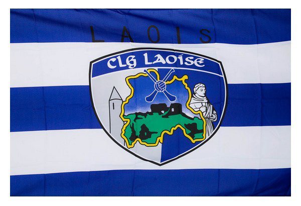 The GAA Store Laois County GAA Flags