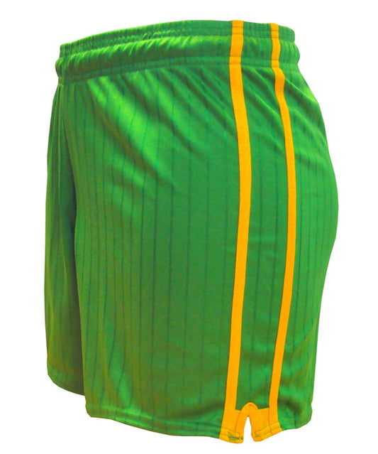 LS Pairc Gaelic Shorts - Green/Gold - Youth