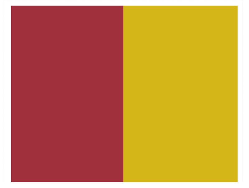The GAA Store Car Flag - Maroon/Gold