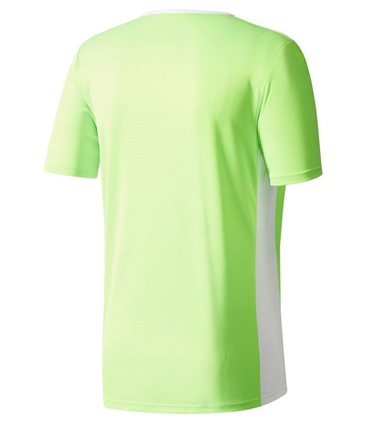 adidas Entrada 18 Jersey - Adult - Solar Green/White