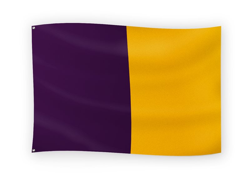 The GAA Store Purple/Gold Half and Half Flag