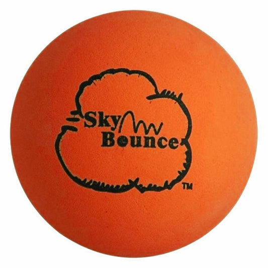 Sky Bounce One Wall Handball - Orange