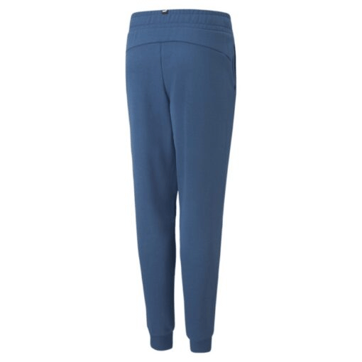Puma Essentials Logo Fleece Pants - Boys - Lake Blue