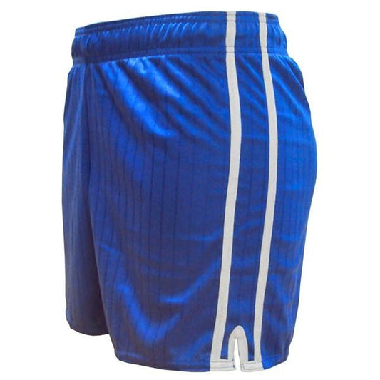 LS Pairc Gaelic Shorts - Royal/White - Youth